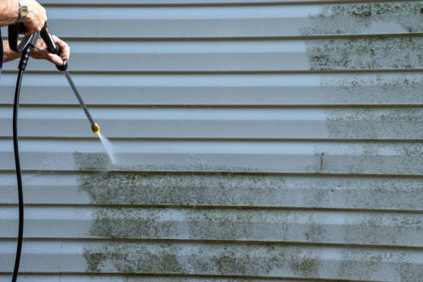 Best Carpet Removal and Disposal  in Milford Square, PA